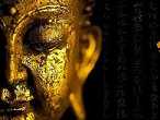 佛教中常提到的三毒是哪些